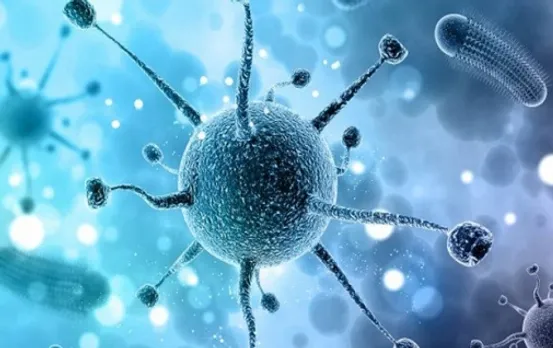 What is Nipah Virus? Know symptoms and treatment