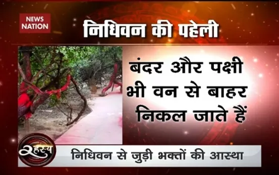 Rahasya: Do Krishna, Radha come at Mathuraâ€™s Nidhivan every night?