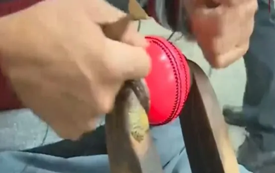 India Vs Bangladesh Kolkata Test: Know About Pink Ball, Its Features