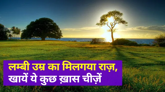 If you also want to live a long life, then eat this food daily