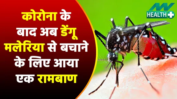 These few measures can get rid of diseases like dengue malaria