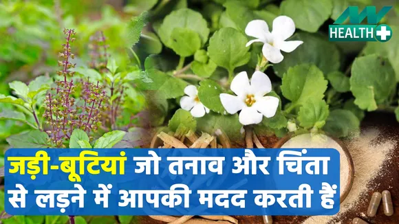 Ayurveda: Amazing Herbs that can help you to fight stress and anxiety 