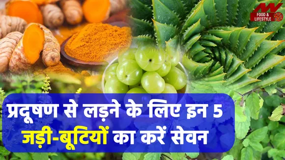 Health Tips: Use these 5 herbs to fight pollution