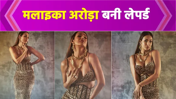 Malaika Arora wows in this body-hugging animal print dress