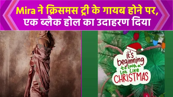 Mira Rajput's Christmas tree disappears, post hurts