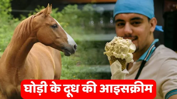 Horse Milk Ice Cream