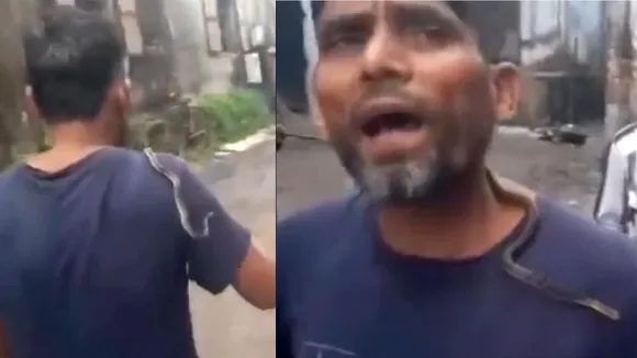 snake bite video