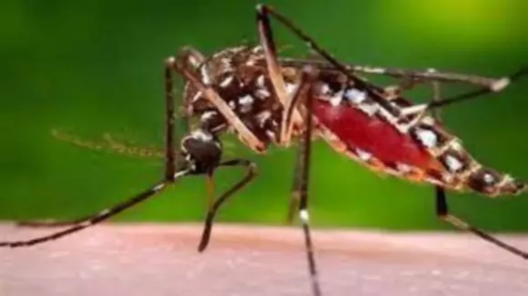 Prayagraj dengue