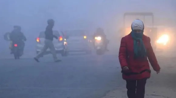 Delhi Winter