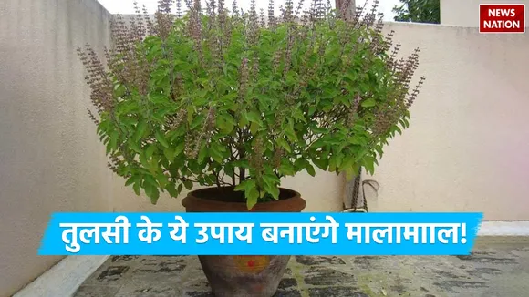 Rama Ekadashi Tulsi Upay