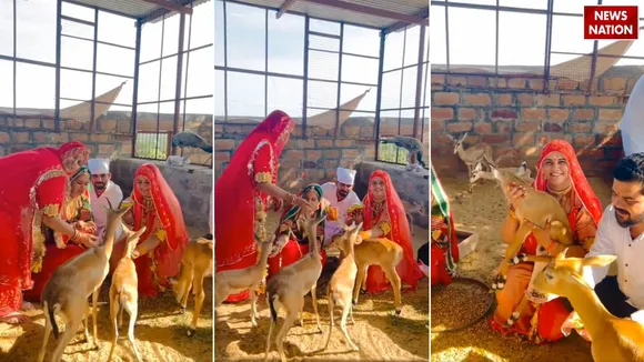 viral bishnoi samaj video