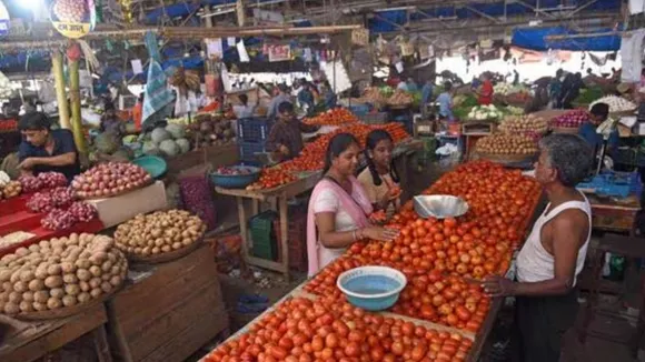 Tomato Potato In Cheap Rates 