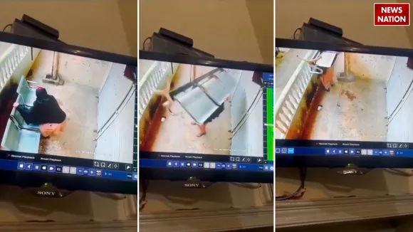 viral thieves woman