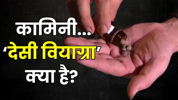 Kamini Tablets