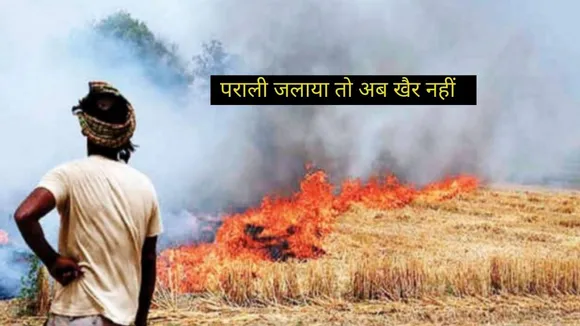 HARYANA STUBBLE BURNING
