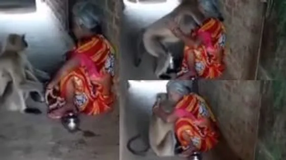 money kiss women 