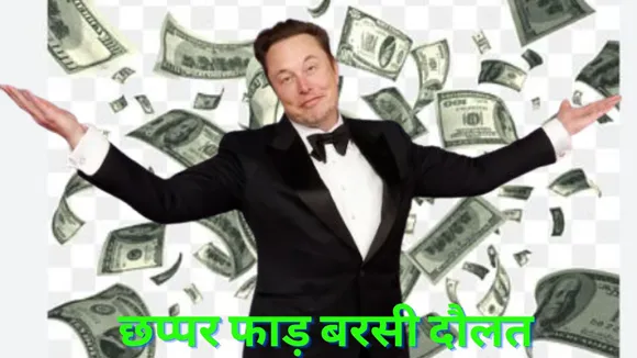 Elon musk on trump win