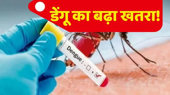 dengue Cases increased in Delhi