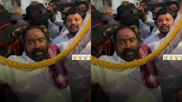 viral news golden