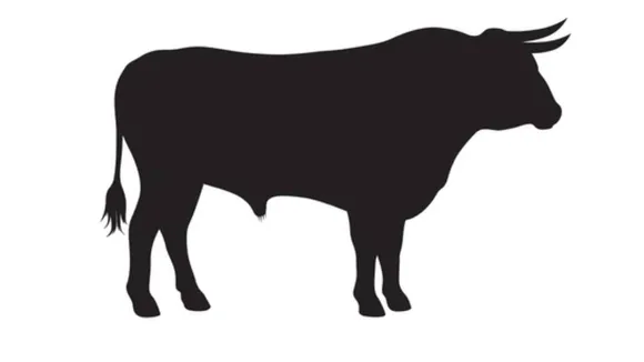amreli nandi