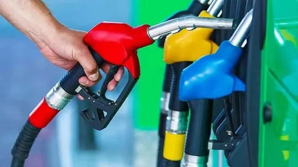 petrol diesel price 19 November