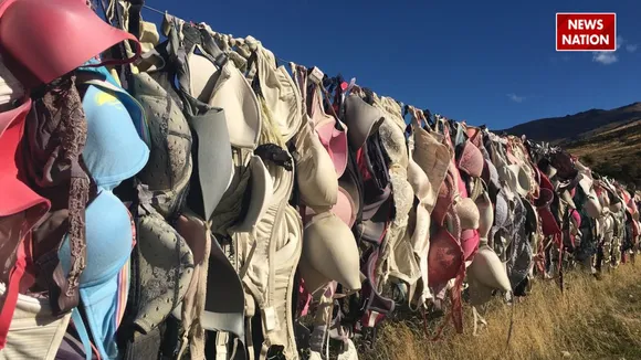 Cardrona bra fence