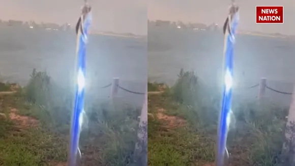 viral fish video11