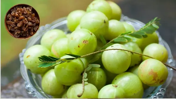 _Amla Candy