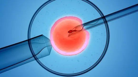 What is Egg Freezing