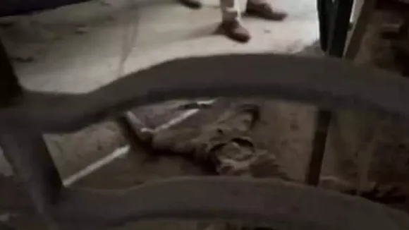 Kanpur madrassa
