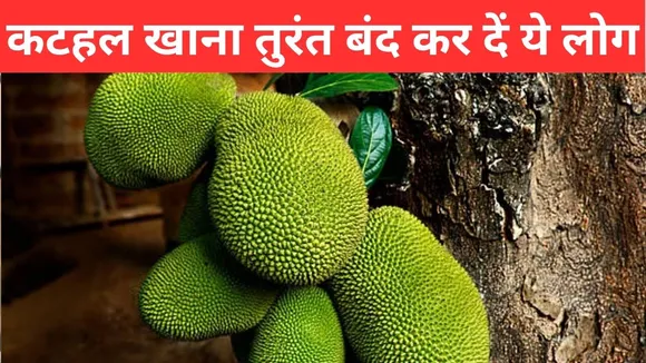 Side Effects OF Jackfruit sideeffect