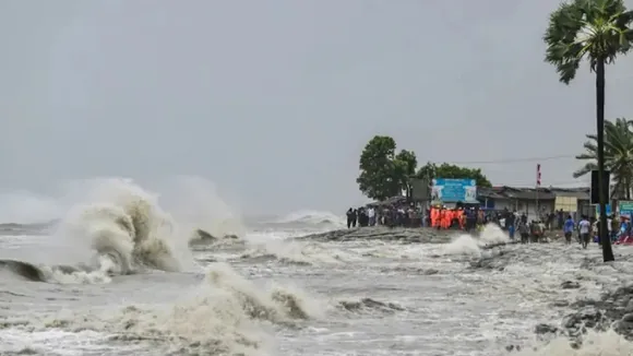 cyclone fangal update