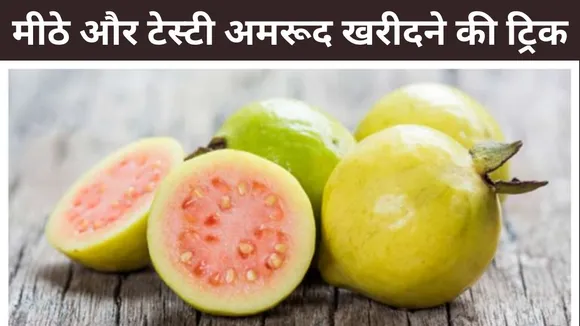 मीठे और टेस्टी अमरूद खरीदने की ट्रिक