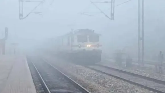 fog and train
