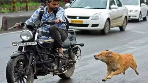 े