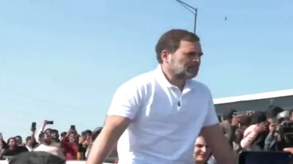 rahul gandhi sambhal