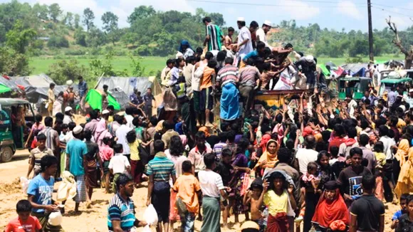 rohingya