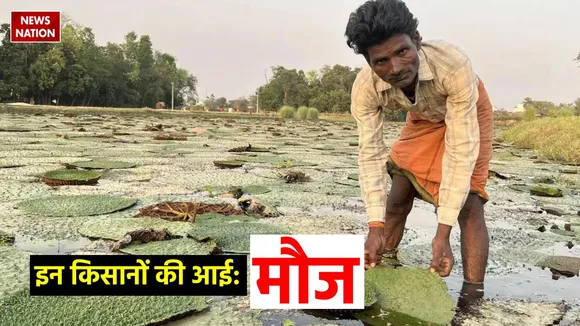 Bihar Government announces Subsidy upto 75 Percent on Makhana Cultivation