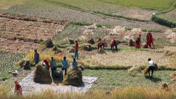 latur farmer