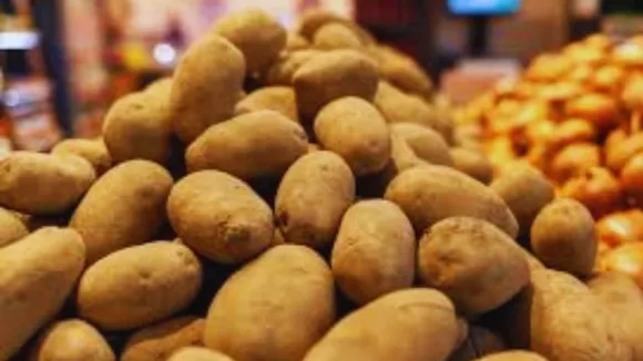 potato Price