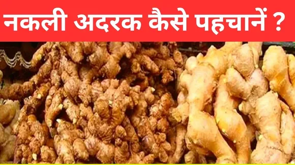 नकली अदरक कैसे पहचानें  