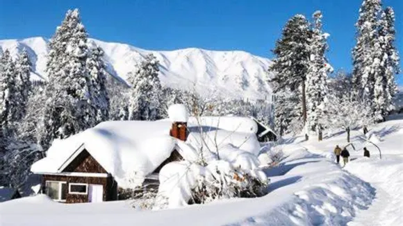 snowfall 