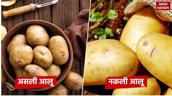 _नकली आलू 