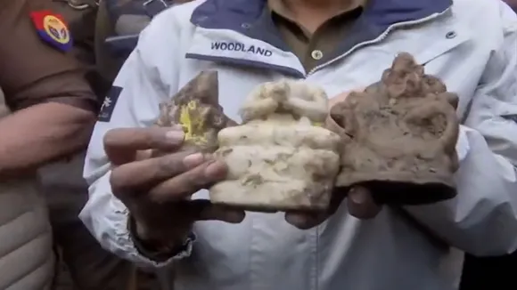 sambhal temple idols