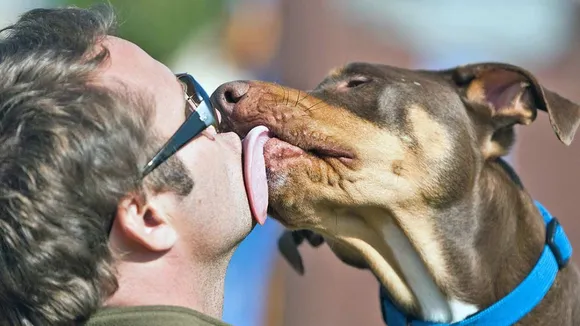 dog