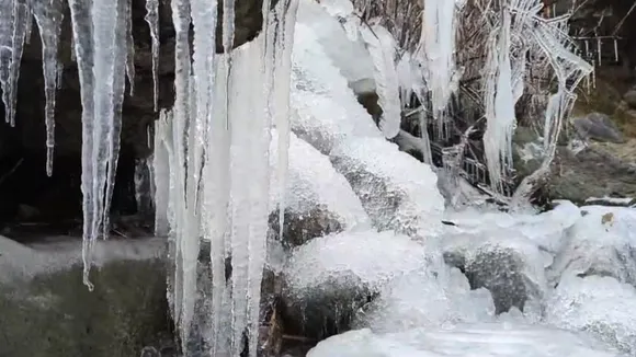 cold wave 