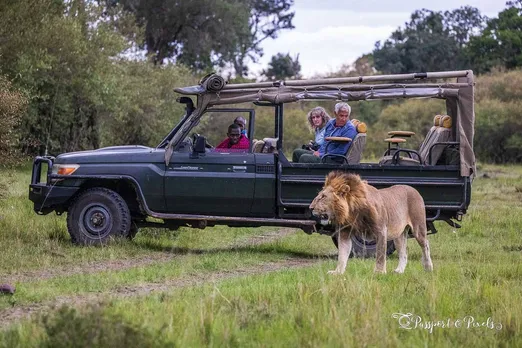 kenya safari
