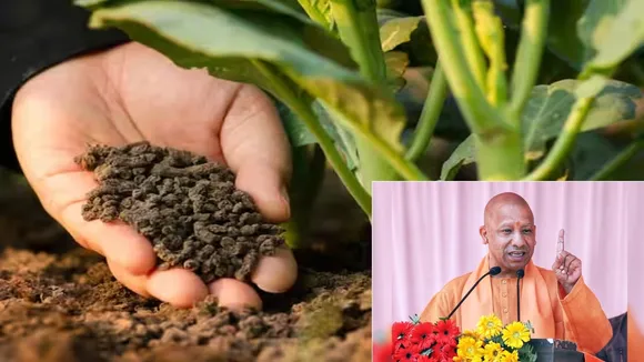 natural farming