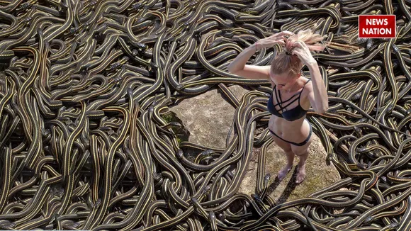 snake island