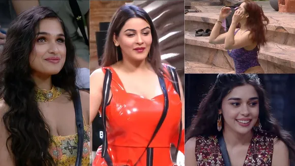 bigg boss (4)